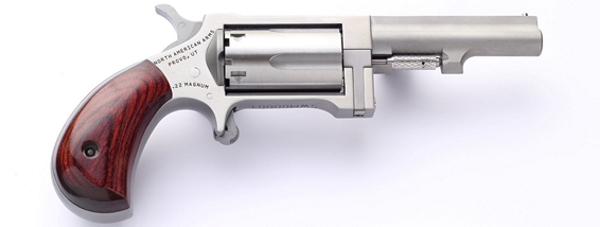 NAA NAA-SWC-250 Sidewinder Conversion 22 LR | 22 Magnum 2.5" Stainless-img-0