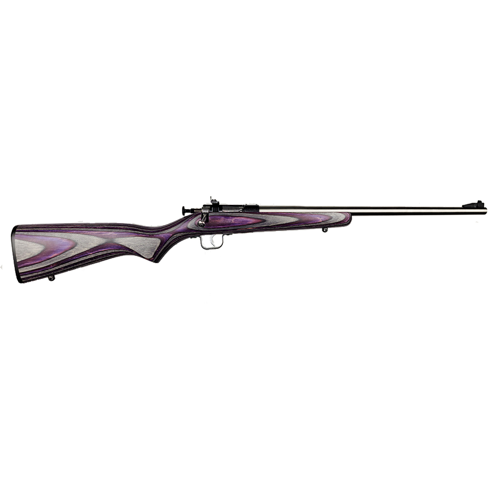 CRICKETT 22LR SS/PURPLE LAM BLUE RECEIVER W/STAINLESS BBL-img-0