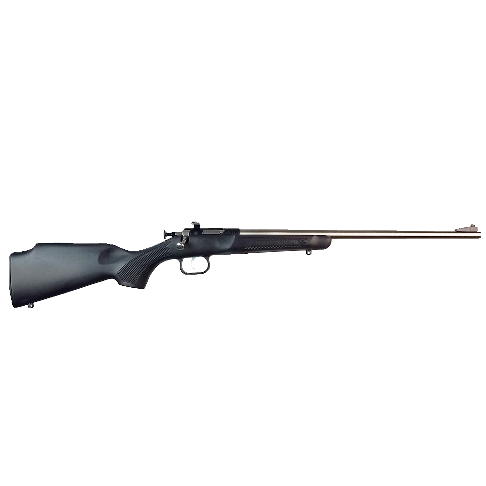 CRICKETT 22LR SS/BLACK SYN BLUE RECEIVER W/STAINLESS BBL-img-0